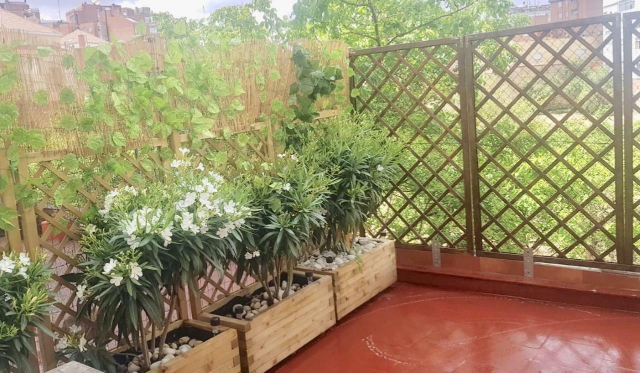 Apartamento San Quirce - céntrico y reformado- wifi y netflix Valladolid Extérieur photo
